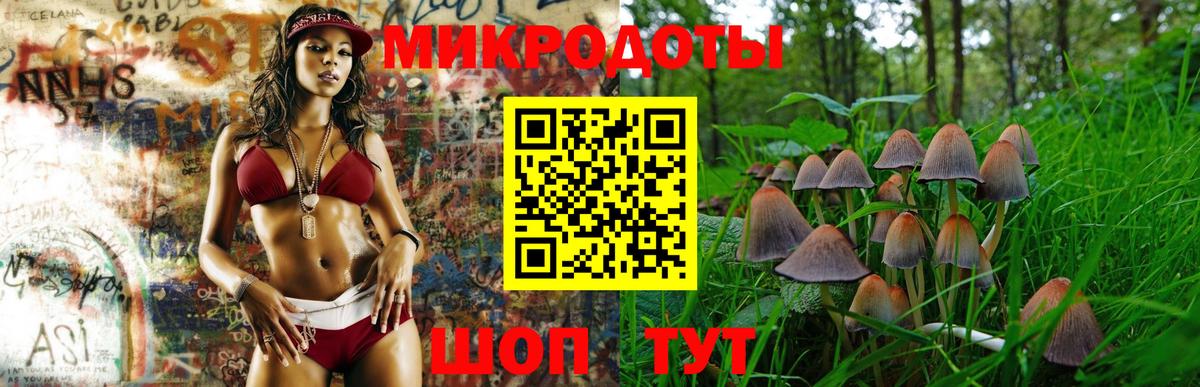 Псилоцибиновые грибы GOLDEN TEACHER Москва