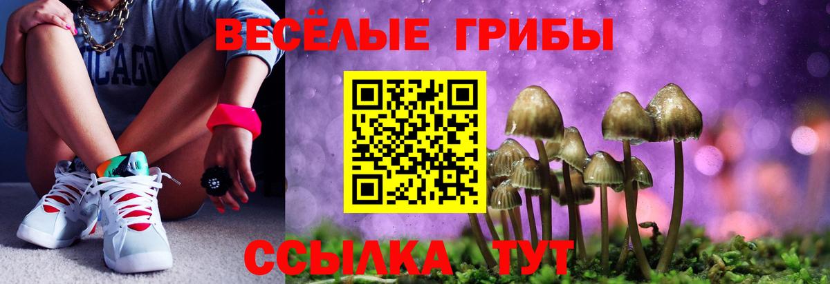 Псилоцибиновые грибы мухоморы  Вход с VPN  Галлюциногенные грибы Cubensis  Москва 